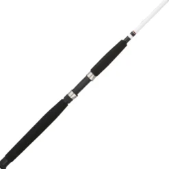 Big Game™ Spinning Rod