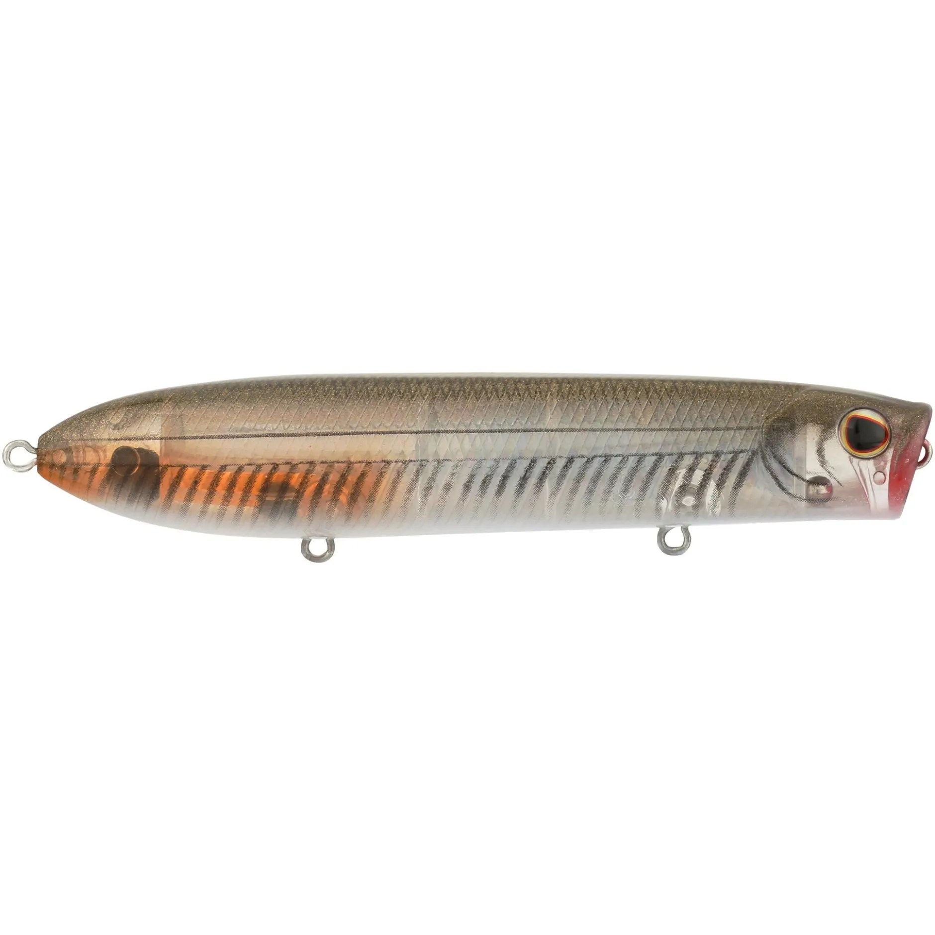 Cane Walker Saltwater