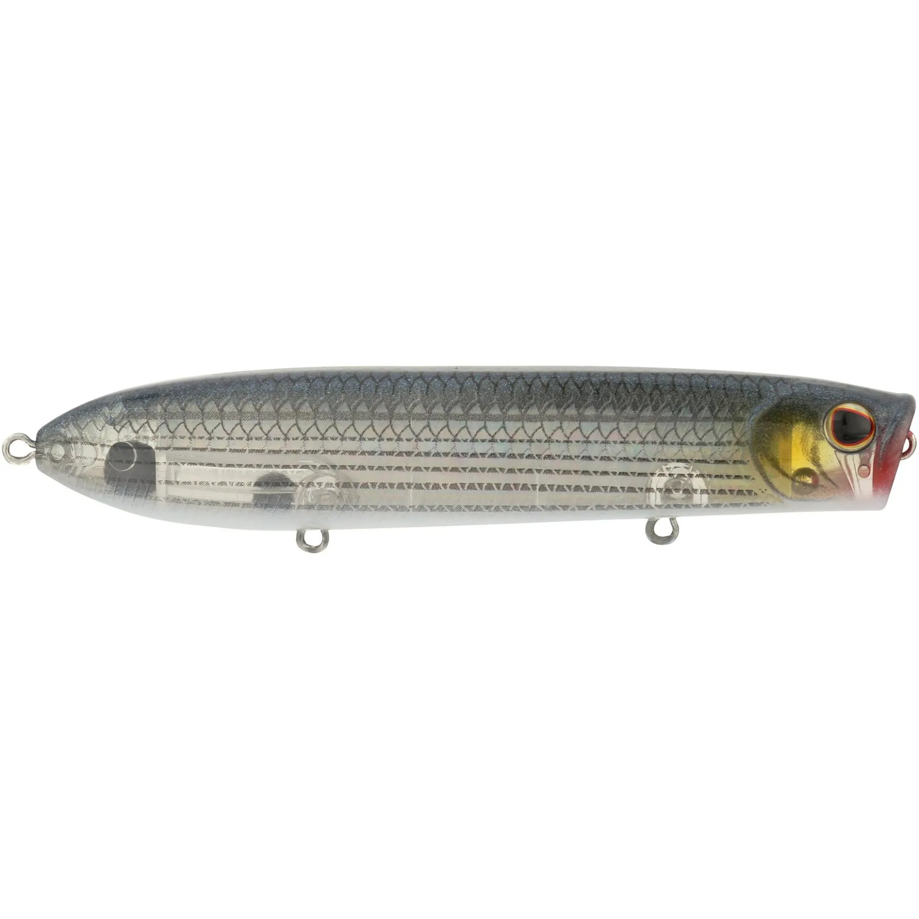 Cane Walker Saltwater