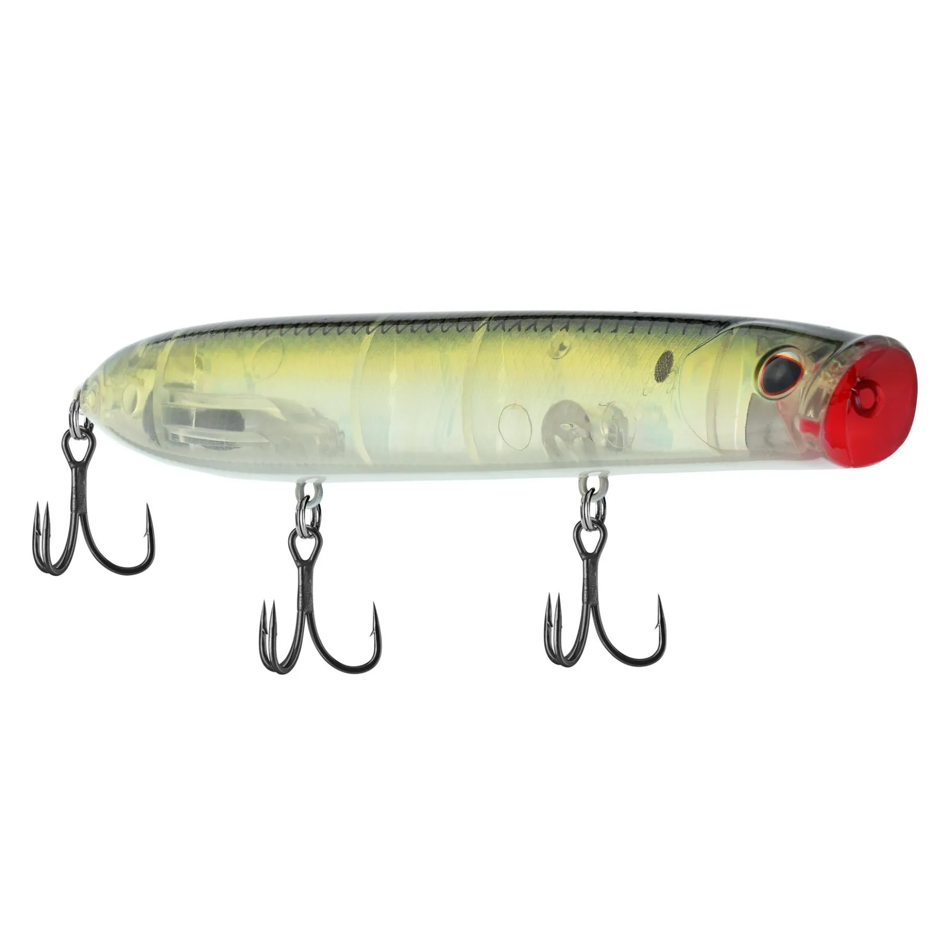 Cane Walker Saltwater