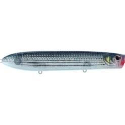 Cane Walker Saltwater