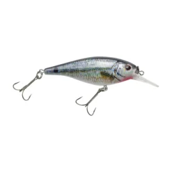 Flicker Shad® Shallow