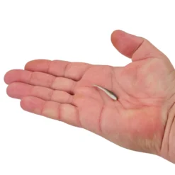 Gulp! Alive!® Minnow