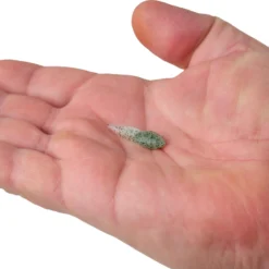 Gulp! Alive!® Tadpole