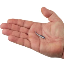Gulp!® Minnow