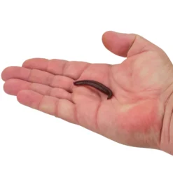 Gulp!® Pinched Crawler