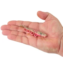 Gulp!® Saltwater Turbo Shrimp