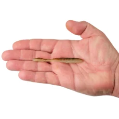 Lab Series™ Flat Worm