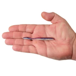 Lab Series™ Flat Worm
