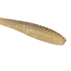 Lab Series™ Flat Worm