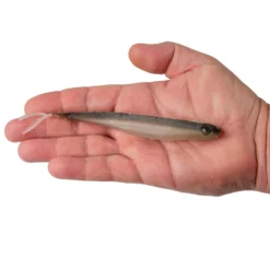 Lab Series™ Minnow