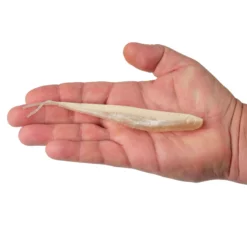 Lab Series™ Minnow