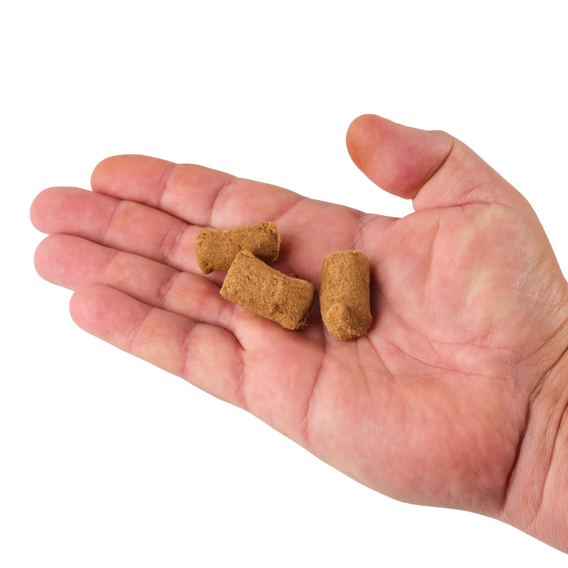 PowerBait® Catfish Bait Chunks