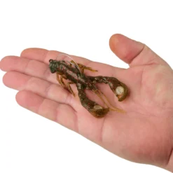 PowerBait® Clatter Craw