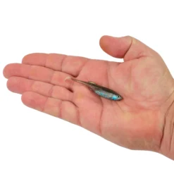 PowerBait® Drip Swimmer