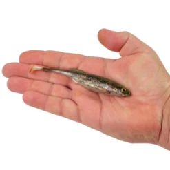 PowerBait® Drip Swimmer