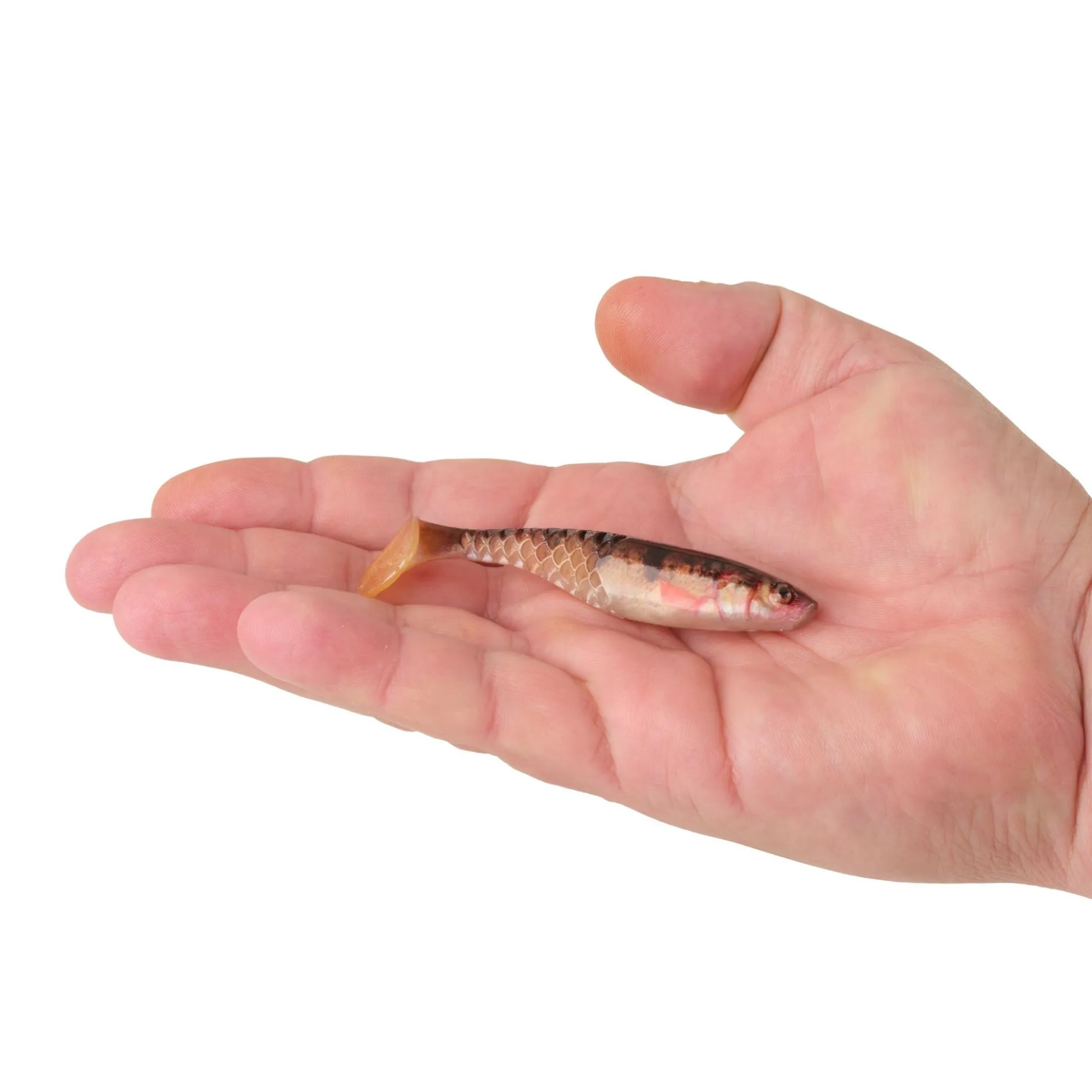 PowerBait® Paddlin' PowerStinger