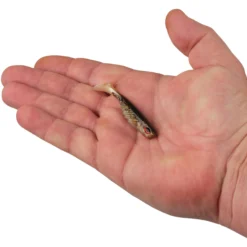 PowerBait® Ripple Shad