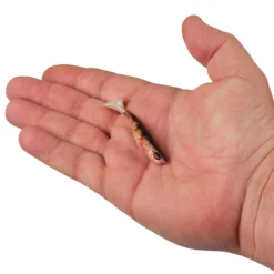 PowerBait® Ripple Shad