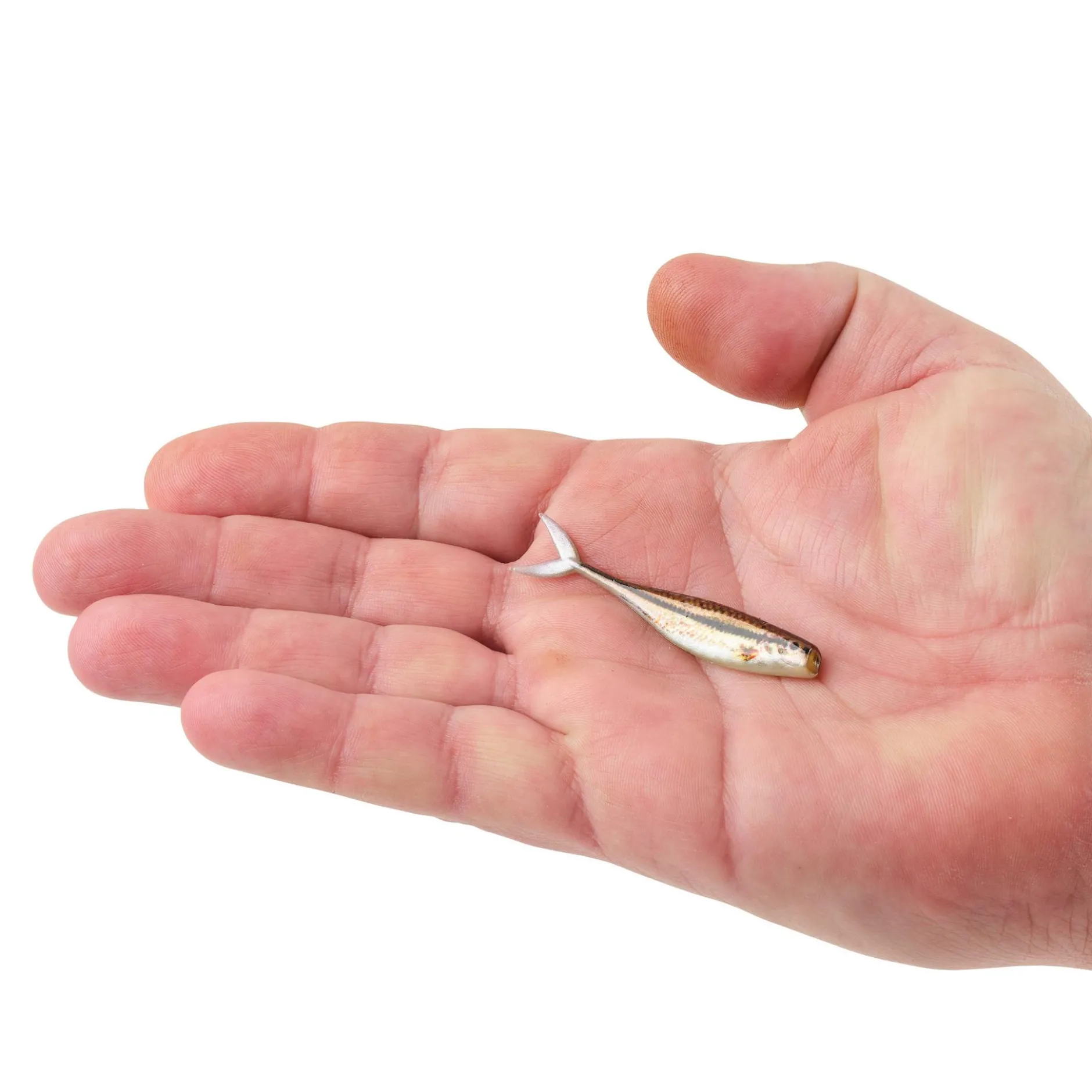 PowerBait® The Champ Minnow