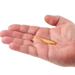 PowerBait® The Champ Minnow