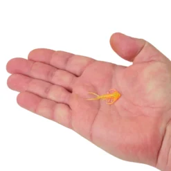 PowerBait® Trilobite