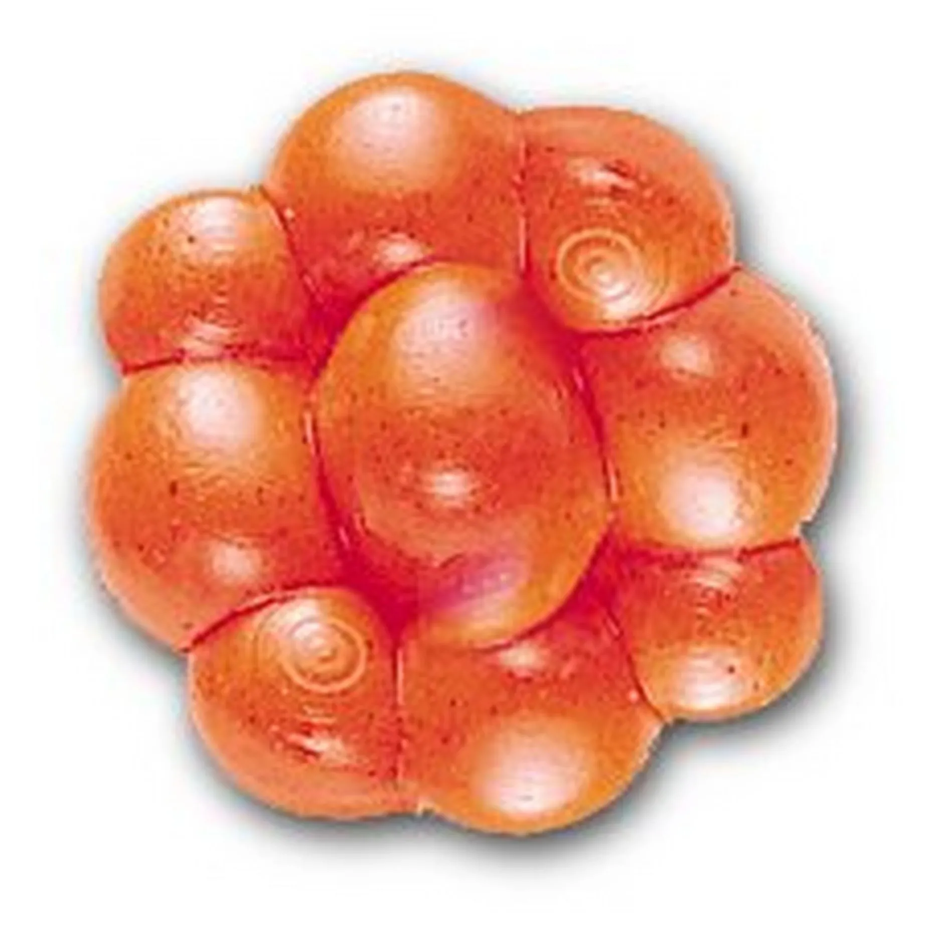 PowerBait® Trout/Steelhead Egg Clusters