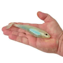 PowerBait® Unrigged CullShad