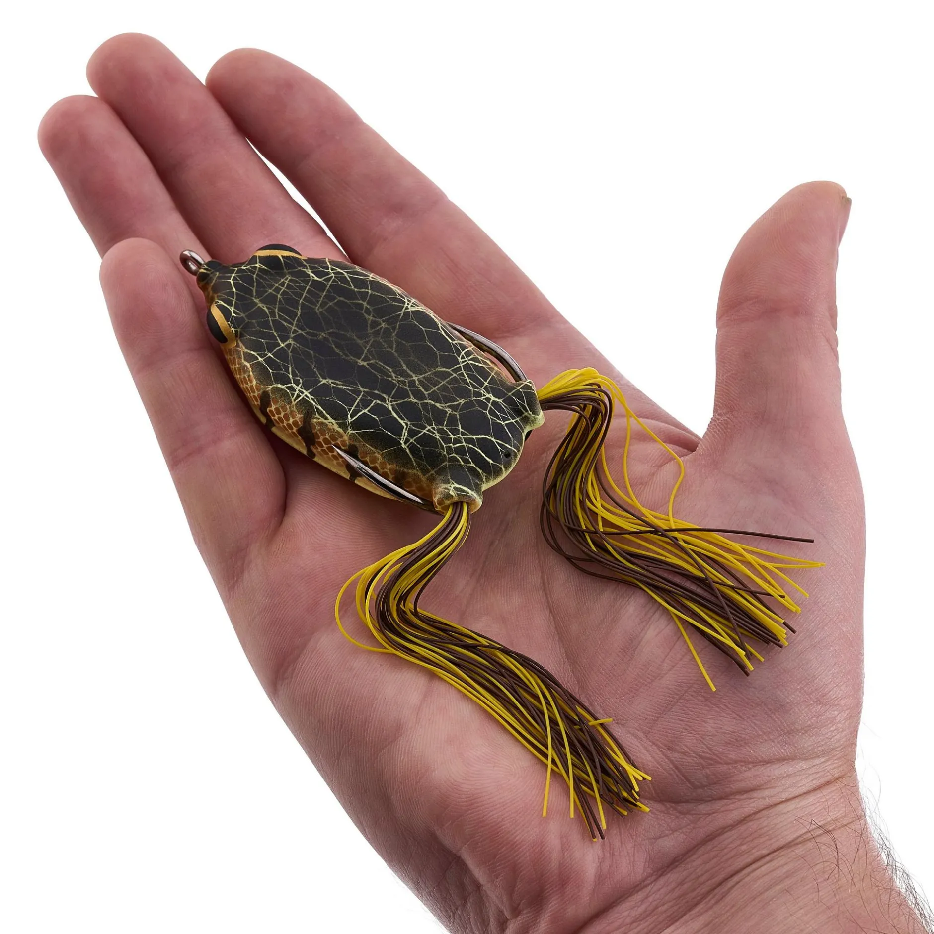 Swamp Lord Hollow Body Frog
